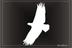 Eagle Fly Window Decal