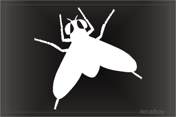Fly Window Decal