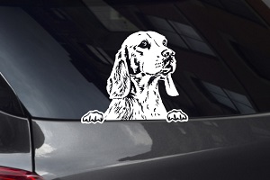 Beagle Looking Out Window Decal