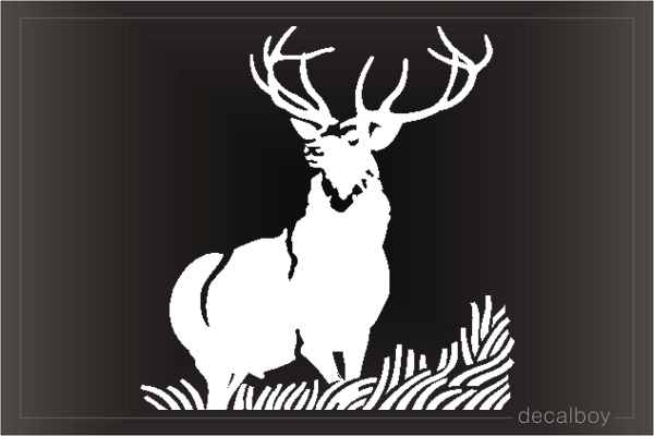 Roosevelt Elk Buck Window Decal