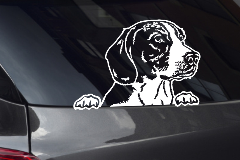Foxhound Looking Out Window Decal