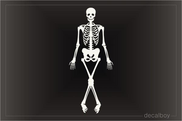 Human Skeleton Decal