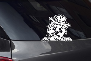 Jorkie Looking Out Window Decal