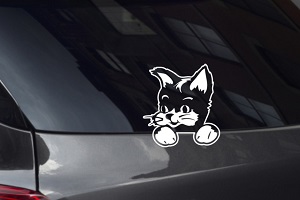 Kitty Looking Out Window Decal