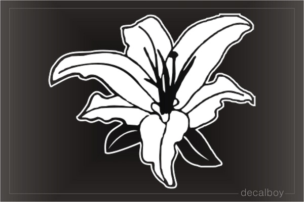 Lilly Window Decal