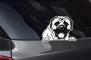 Mastiff Looking Out Window Decal