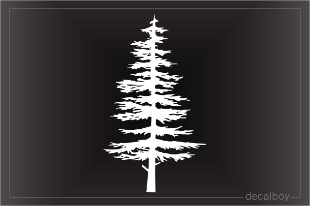 Pinetree Silhouette Decal