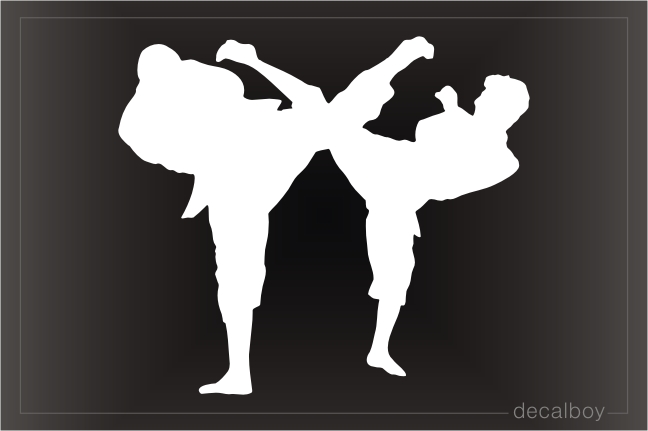 Shotokan Karate Window Decal