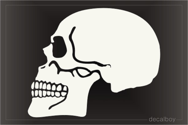 Skull Profile Decal