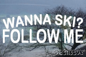 Wanna Ski Follow Me Vinyl Die-cut Decal