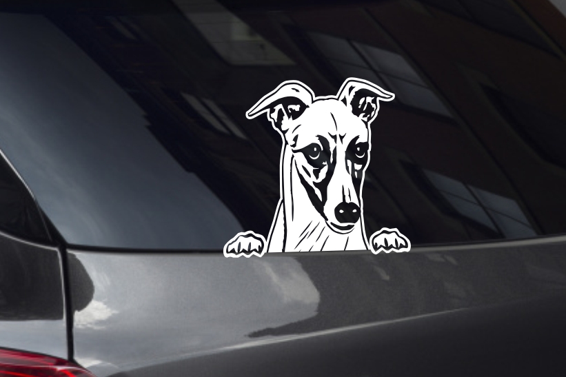 Whippet Looking Out Window Decal