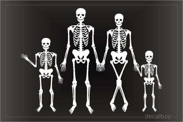 X Ray Skeleton Family Decal