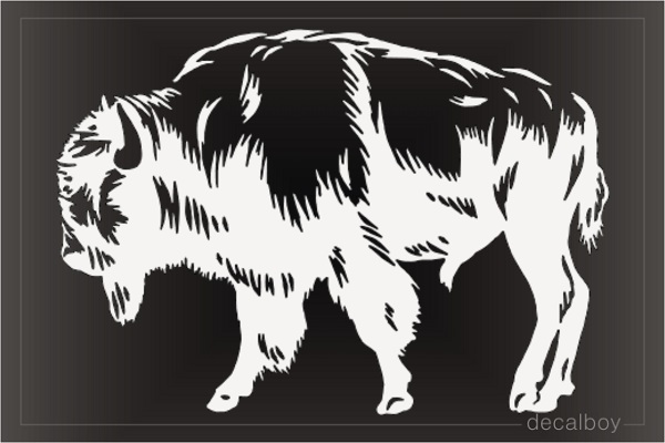 American Bison Decal