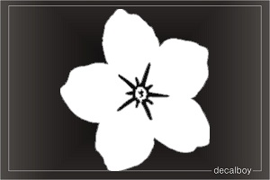 Forget Me Not Flower Window Decal