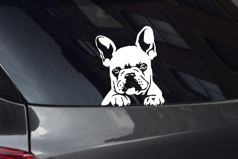 French Bulldog Puppy Looking Out Window Decal