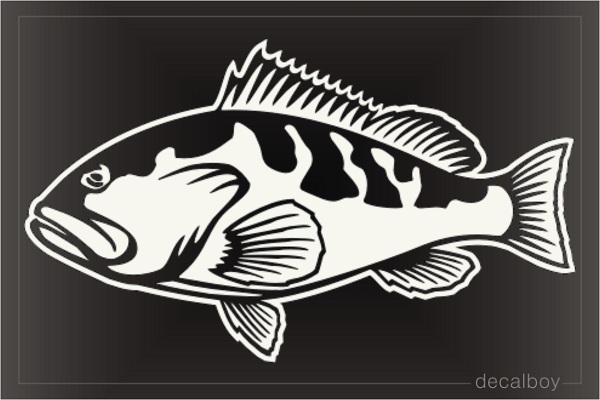 Grouper Fish Decal