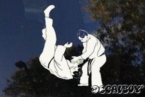 Hapkido Korean Karate Decal