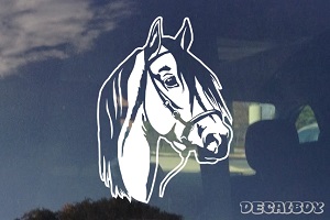 Horse Head Design Decal