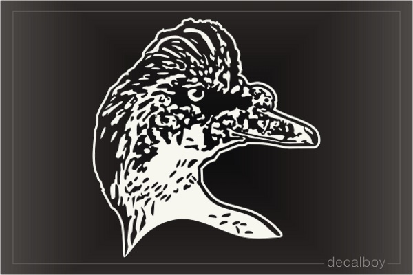 Muscovy American Duck Face Window Decal