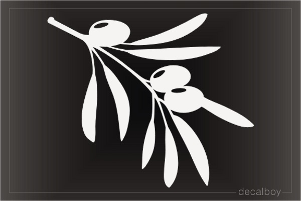Olive Branch Decal