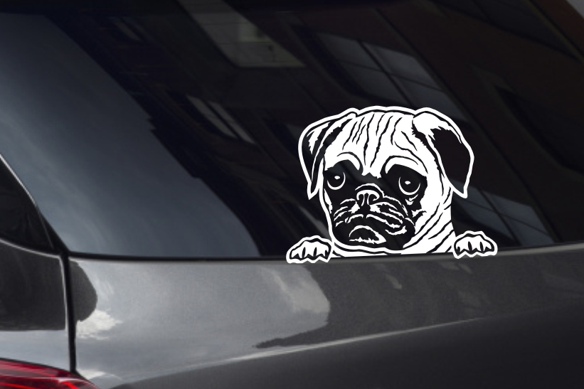 Pug Face Looking Out Window Decal