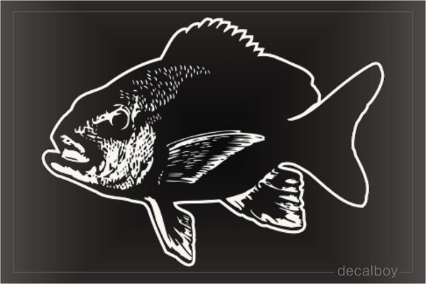 Red Snapper Fish Window Decal