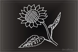 Sunflower Helianthus Decal