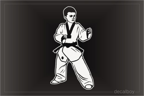Taekwondo Boy Decal