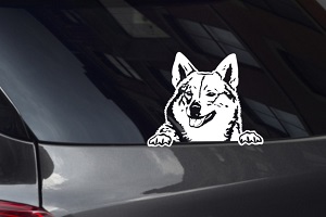 Vallhund Looking Out Window Decal