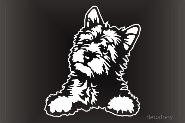 yorkie terrier decal decals yorkshire puppy decalboy stickers