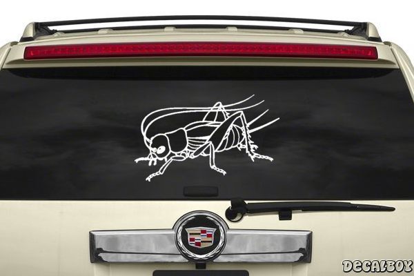 Decal Cricket