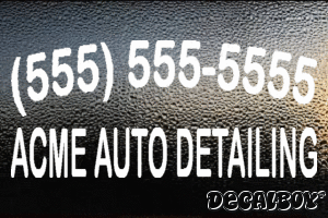 Acme Auto Detailing Decal