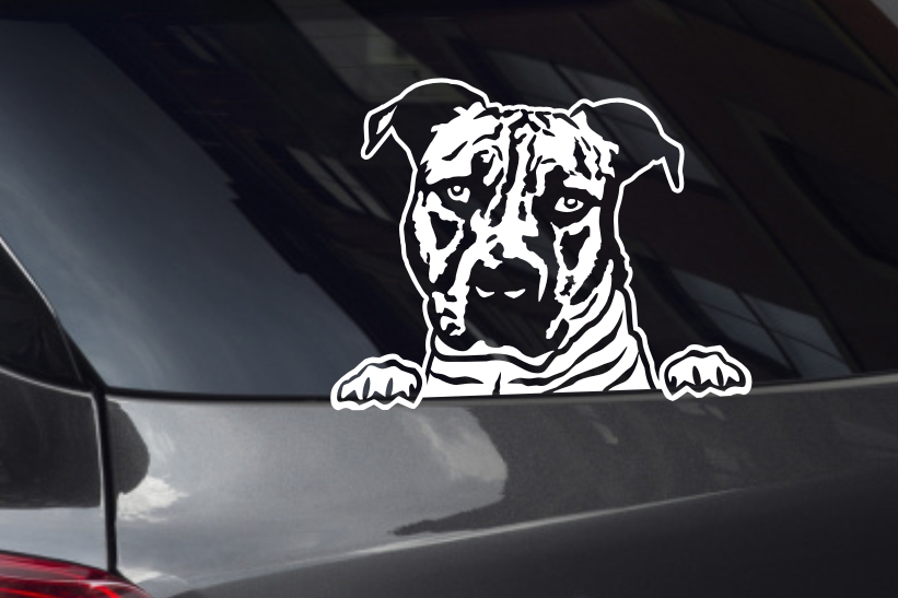 American Bulldog Looking Out Window Decal