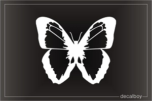 Blue Morpho Butterfly Image Window Decal