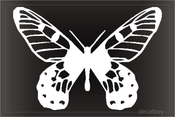 Butterfly 29 Window Decal