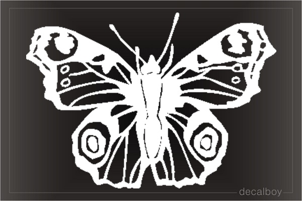 Blue Morpho Butterfly Decal
