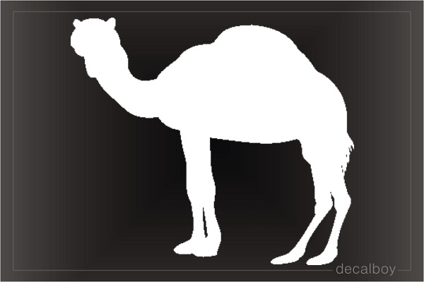 Camel 2 Window Decal