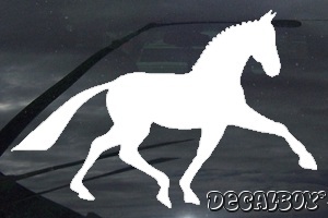 Spanish Horse Car Window Decal
