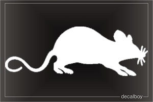 Rat Decal