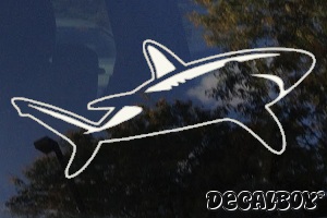 Shark Bull Window Decal