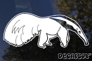 Anteater Window Decal