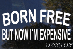 Born Free But Now Im Expensive Decal