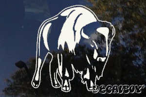 Bison Decal