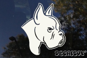 Boxer Dog Face Car Window Decal