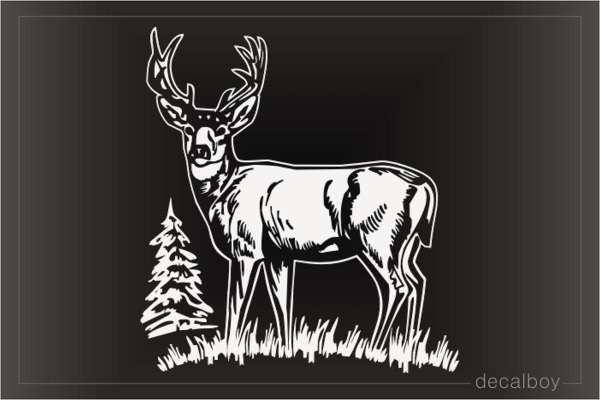 Tule Elk Buck Window Decal