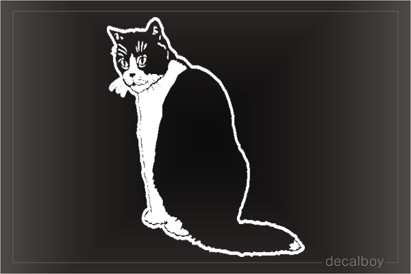 Cat Silhouette Decal
