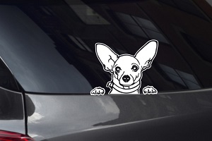 Chihuahua Looking Out Window Decal