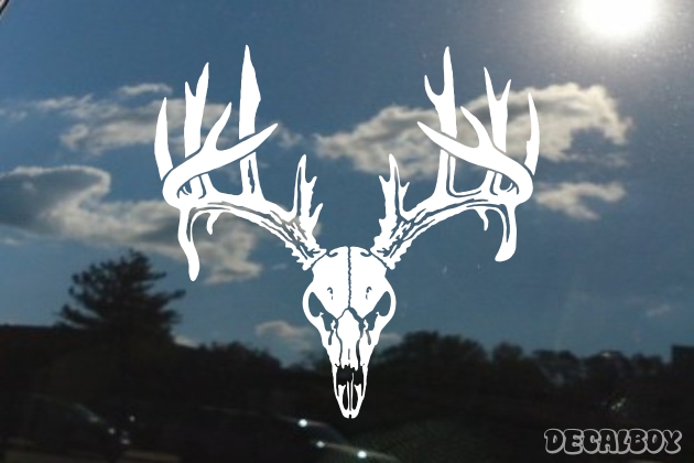 Deer Buck Skull Decal