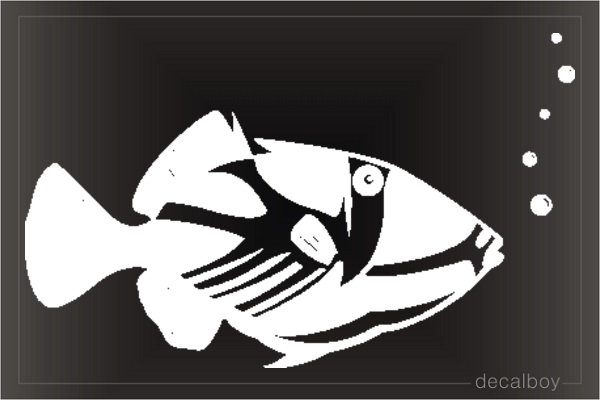 Parrotfish 142 Decal
