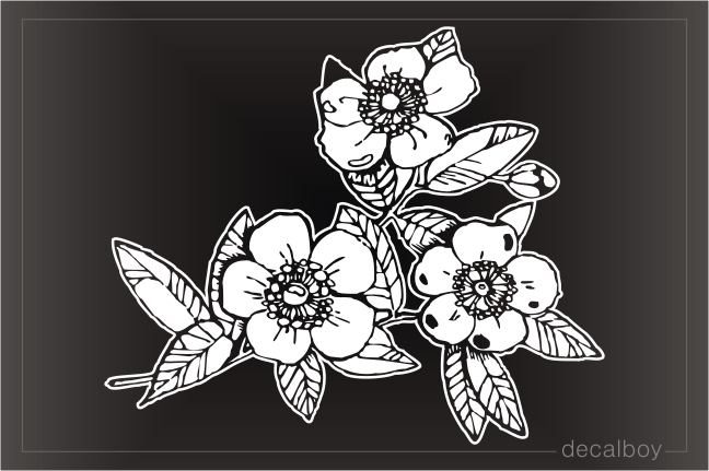 Flower Blossoms Window Decal